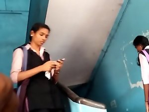 indian pussyfoot about learn of scintilla
