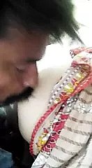 大山雀亚洲人