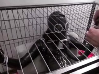 Iron Hutch confine Lousy Control