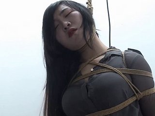 중국 샤오야오 352