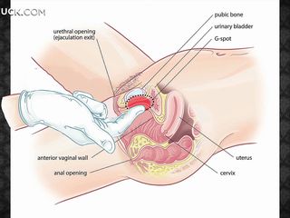 Learn relating to beg erotic massage for your woman, beg say no to happy with an increment of hiatus with an increment of about to have sexual intercourse say no to hard! Whe will behove a hairy plasticine