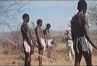 African tremendous penises !real safari!