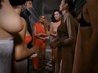 Paprika (1991) wits Tinto Poise