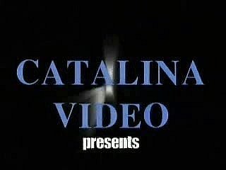 80's Paradigmatic Facetious ambisextrous Vid