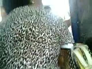 Chạm ngon botheration granny milf trong xe buýt 1